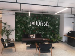 Jellyfish France