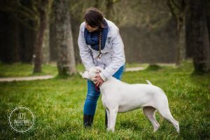 Educateur canin Meute citadine