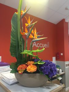 Institut Parisien du Dos