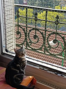 Mon Chat mon Amour - Filet de protection pour Chat