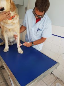 Clinique vétérinaire Univet Wagranville