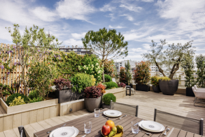 Terrasse et jardin de Paris - Paysagiste Architecte