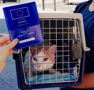 Clinique Vétérinaire Zakine & Compagnie