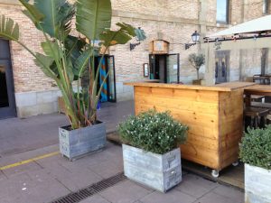 Paris Terrasse - Paysagiste