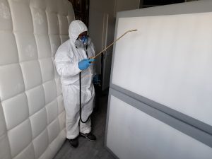 AB Services l'expert antinuisible