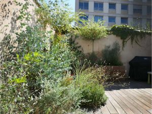 Juliette Blondelle Paysage