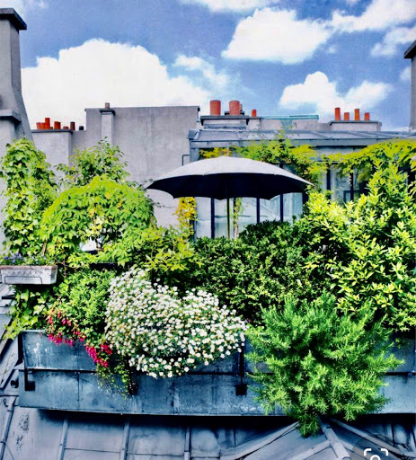 Terrasse et jardin de Paris - Paysagiste Architecte