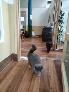 Le Moustache Pension