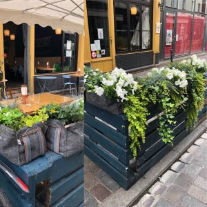 B.GREEN Artisan Terrariums - Paysagiste d'intérieur & d'extérieur