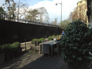 Paris Terrasse - Paysagiste