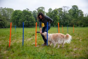 Olykan - éducation canine Paris