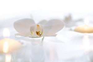 Réflexologie plantaire - Paris 17 - Shiatsu - Drainage lymphatique Renata Franca - Aurélie Billard