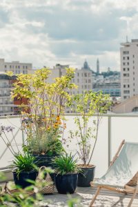 Kevin Clare paysagiste