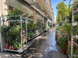 Casanova France jardinerie & Paysagiste