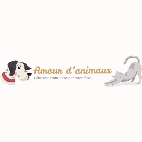 Amour d'animaux