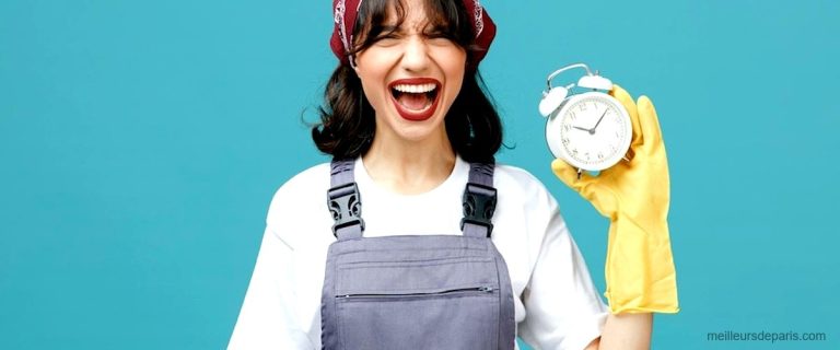 Les 10 meilleures assistantes ménagères à lheure à Paris