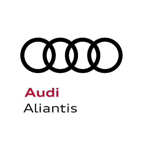 Audi Aliantis Paris Lecourbe - Paris 15