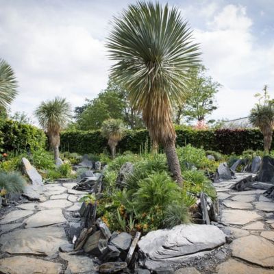 SIMONSON LANDSCAPE - Paysagiste & Architecte d'extérieur - Création de Jardins & Terrasses