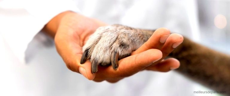 Les 10 meilleurs vétérinaires à Paris