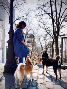 Primitif Addict - Éducation et Comportement Canin